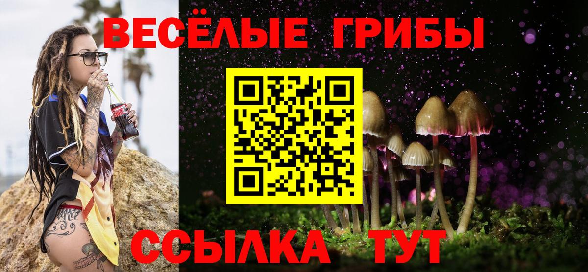 Галлюциногенные грибы мухоморы Усть-Илимск