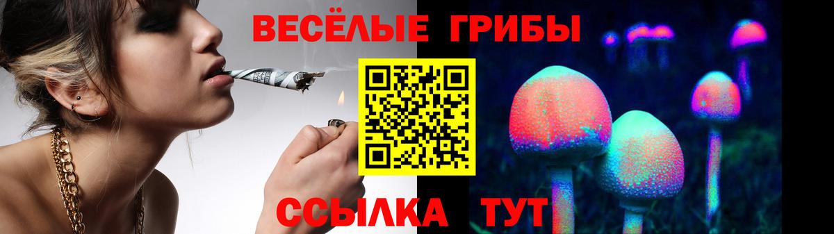 Псилоцибиновые грибы MAGIC MUSHROOMS  Вход с VPN  Усть-Илимск 